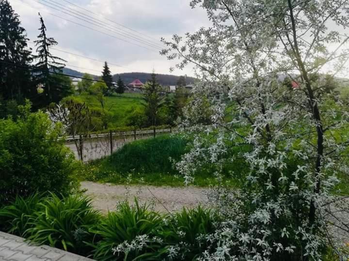 Pensiunea Valurile Bistritei Vatra Dornei Bagian luar foto